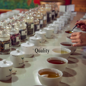 Good Teaste with Good Quality Tea