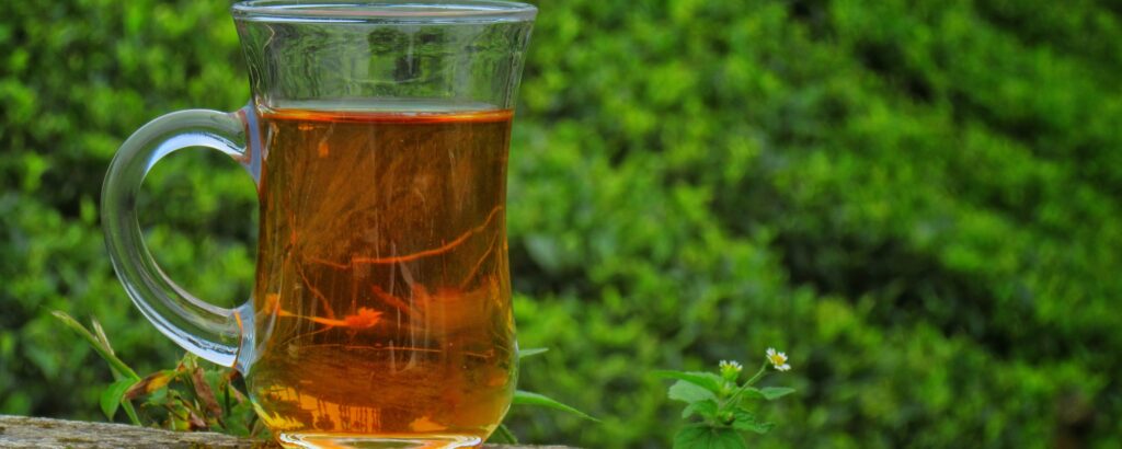 Health Elixir: The Benefits of Green Tea